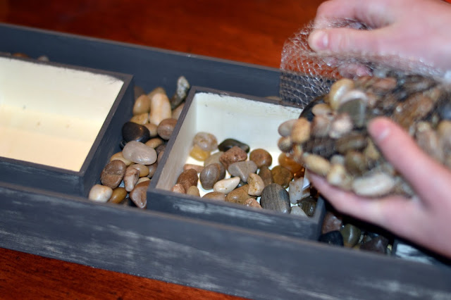 unique succulent box with rocks