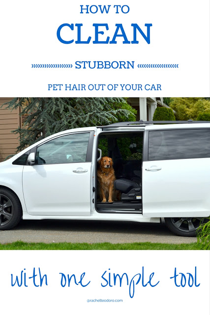 how to clean stubborn pet hair out of your car with one simple tool furminator helps to clean dog fur out of car