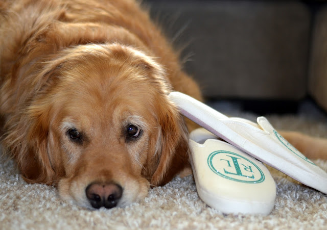 easy to make monogrammed slippers using heat transfer vinyl easy to make monogrammed slippers using heat transfer vinyl