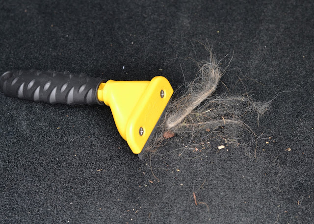 cleaning up dog fur in the car cleaning up dog fur in the car