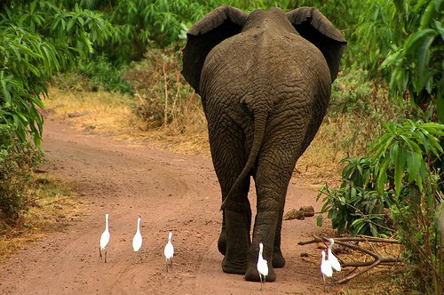 Blogging:  One place where it's good to be a follower.