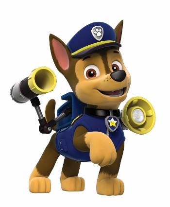 Chase_openpack_zpsbe5c6ac5