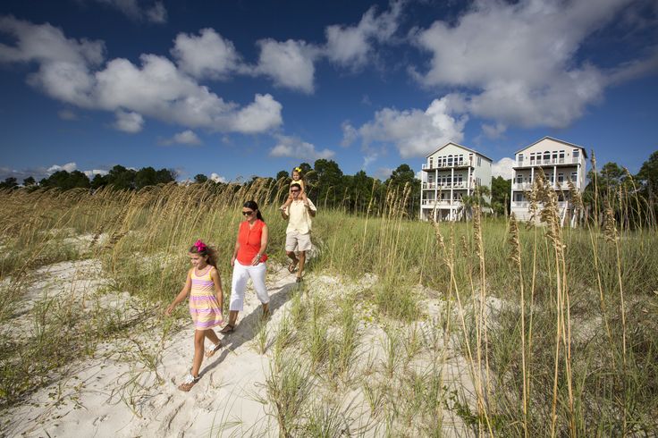  photo gulfcoast.jpg