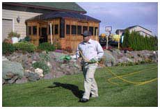 Lawn Care Services