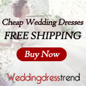 cheap wedding dresses free shipping at Weddingdresstrend.com