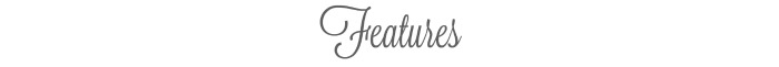 ToTT Features