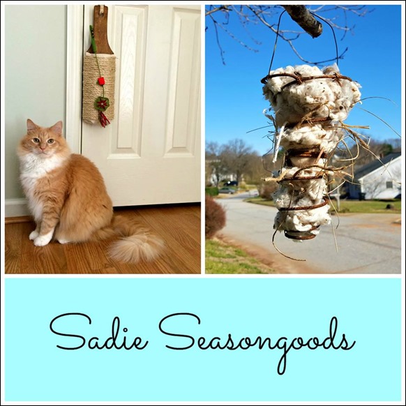 this week at Sadie Seasongoods